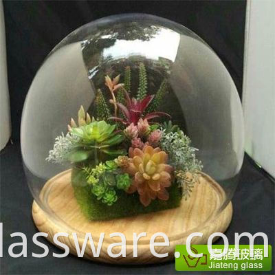used glass display cases (2)